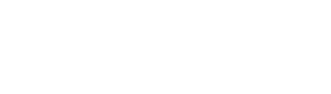 Silverile Logo